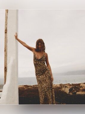 Zara Leopard Print Slip Maxi Dress in Brown and Black